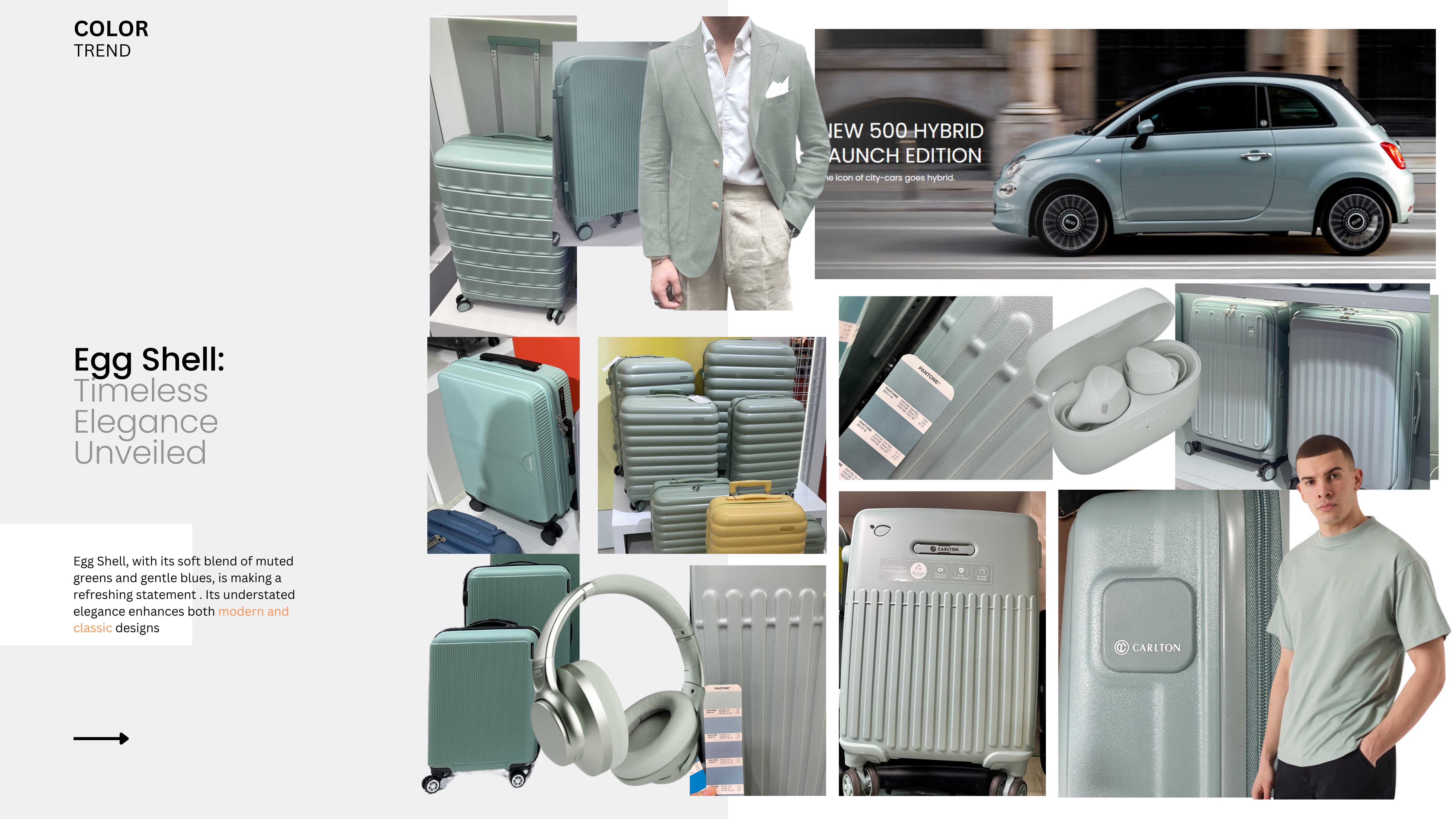 Egg Shell colour trend board